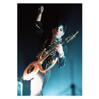 Plakát, Obraz - Prince - Live shot, N.E.C. Birmingham 2005, 59.4x84.1 cm