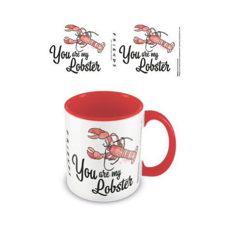 Hrnek barevný Přátelé (You are my lobster), 315 ml