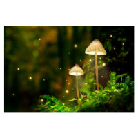 Ilustrace Glowing mushroom lamps with fireflies in, Shaiith, 40 × 26.7 cm