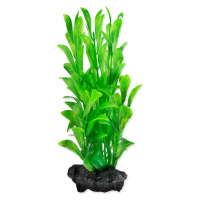 Tetra Hygrophila S 15 cm