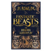 Fantastic Beasts and Where to Find Them - The Original Screenplay - kniha z kategorie Beletrie p