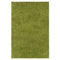 Ayyildiz koberce Kusový koberec Life Shaggy 1500 green Rozměry koberců: 120x170