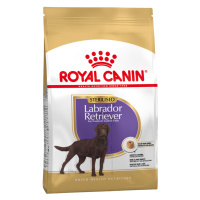 Dvojitá balení Royal Canin Breed - Sterilised Labrador Retriever Adult (2 x 12 kg)