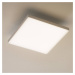 Paul Neuhaus Paul Neuhaus Frameless stropní světlo CCT 30x30cm