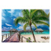 Trefl prime puzzle 1000 UFT - Toulky: Paradise Beach, Bora-Bora