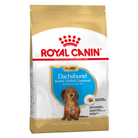 Royal Canin Dachshund Puppy - Výhodné balení 2 x 1,5 kg