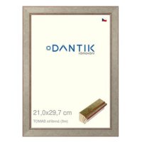 DANTIK rámeček 21 × 29,7, TOMAS stříbrný sklo čiré