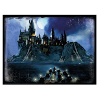 HM Studio 3D puzzle Harry Potter Hogwarts 500 ks