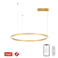 IMMAX NEO FINO NEW Smart závěsné svítidlo 1 kruh, 80 cm, 60 W, zlaté, Zigbee 3.0