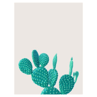 Ilustrace cactus 5, Finlay & Noa, (30 x 40 cm)