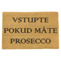 Rohožka z přírodního kokosového vlákna Artsy Doormats Prosecco, 40 x 60 cm
