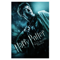 Umělecký tisk Harry Potter and The Half-blood prince, 26.7 × 40 cm