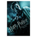 Umělecký tisk Harry Potter and The Half-blood prince, 26.7 × 40 cm