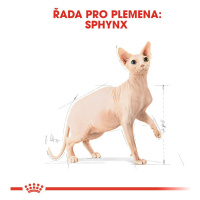 Royal Canin Sphynx Adult - granule pro sphynx kočky - 10kg