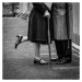 Fotografie The Long Goodbye, Richard Bland, 40 × 40 cm