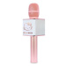 OTL Hello Kitty Karaoke microphone