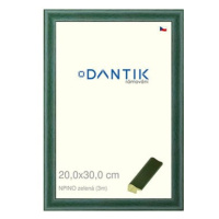 DANTIK rámeček 20 × 30, NPINO zelený sklo čiré