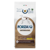 Forza 10 Intestinal Colon Phase 1 s jehněčím - 10 kg