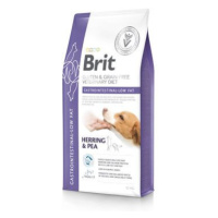 Brit Veterinary Brit VD Dog GF Gastrointestinal-Low fat 12kg