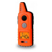 Dogtrace d-control professional 2000 mini - Orange