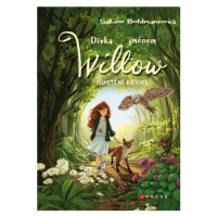 Dívka jménem Willow: Šustění křídel - Sabine Bohlmannová