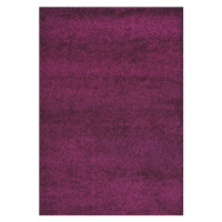 Medipa (Merinos) koberce Kusový Koberec Shaggy Plus Purple 957 - 160x230 cm