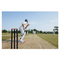 Umělecká fotografie Sunny Cricket Moments, SolStock, (40 x 26.7 cm)