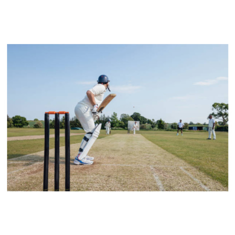 Fotografie Sunny Cricket Moments, SolStock, 40 × 26.7 cm