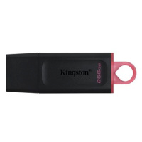 Kingston DataTraveler Exodia 256GB