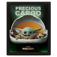 3D obraz Mandalorian Precious Cargo