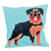 HANDY PETS Patchwork Rotvajler mint 42 × 42 cm