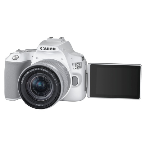 Canon EOS 250D + 18-55mm IS STM, bílá - 3458C001