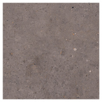 Dlažba Pastorelli Biophilic dark grey 60x60 cm mat P009460