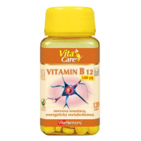 VitaHarmony Vitamin B12 120 tablet