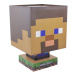 Minecraft Steve Icon Lamp