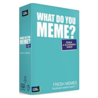 What Do You Meme - Fresh Memes (rozšíření 1)