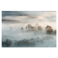 Fotografie Winter fog, Marco Galimberti, 40 × 26.7 cm