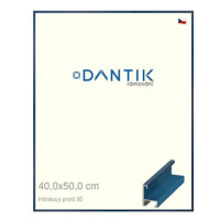 DANTIK rámeček 40 × 50, ALU profil 6030 Dýha barevný modrý krýlovský sklo čiré