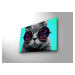 ASIR Nástěnný obraz s LED osvětlením CAT