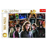 Trefl Puzzle Harry Potter s přáteli 160 dílků - Trefl