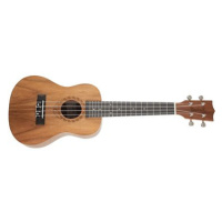 TANGLEWOOD TW EP 3