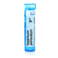 Hypericum perforatum 9CH granule 1x4g