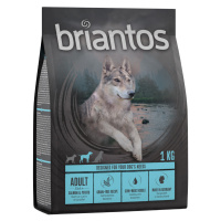 Briantos Adult losos s bramborami - bez obilovin - 4 x 1 kg