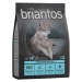 Briantos Adult losos s bramborami - bez obilovin - 4 x 1 kg