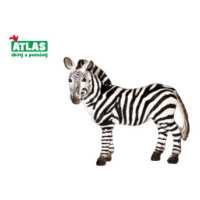 E - Figurka Zebra 10 cm