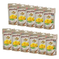 Akinu PILLOWS polštářky s bylinkami pro hlodavce 11 x 40 g