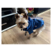 Vsepropejska Cloudy pláštěnka pro psa s kapucí Barva: Modrá, Délka zad (cm): 20, Obvod hrudníku: