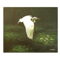 Obraz - Letící volavka a lekníny