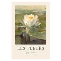 Obrazová reprodukce White Water Lily (Les Fleurs / The Flower Collection), 26.7x40 cm