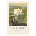 Obrazová reprodukce White Water Lily (Les Fleurs / The Flower Collection), 26.7 × 40 cm